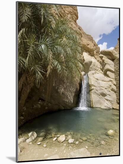 Desert Oasis, Chebika, Tunisia, North Africa, Africa-Ethel Davies-Mounted Photographic Print