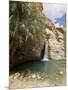 Desert Oasis, Chebika, Tunisia, North Africa, Africa-Ethel Davies-Mounted Photographic Print