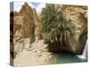 Desert Oasis, Chebika, Tunisia, North Africa, Africa-Ethel Davies-Stretched Canvas