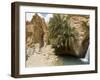 Desert Oasis, Chebika, Tunisia, North Africa, Africa-Ethel Davies-Framed Photographic Print