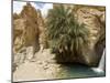 Desert Oasis, Chebika, Tunisia, North Africa, Africa-Ethel Davies-Mounted Photographic Print
