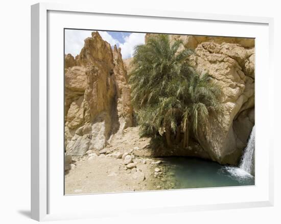 Desert Oasis, Chebika, Tunisia, North Africa, Africa-Ethel Davies-Framed Photographic Print