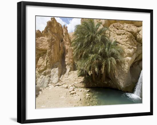 Desert Oasis, Chebika, Tunisia, North Africa, Africa-Ethel Davies-Framed Photographic Print