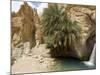 Desert Oasis, Chebika, Tunisia, North Africa, Africa-Ethel Davies-Mounted Photographic Print