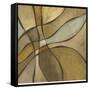 Desert Oasis II-Megan Meagher-Framed Stretched Canvas