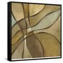 Desert Oasis II-Megan Meagher-Framed Stretched Canvas