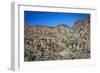 Desert Oasis-Janice Sullivan-Framed Giclee Print