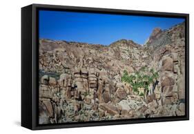 Desert Oasis-Janice Sullivan-Framed Stretched Canvas