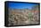 Desert Oasis-Janice Sullivan-Framed Stretched Canvas