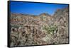 Desert Oasis-Janice Sullivan-Framed Stretched Canvas