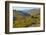 Desert Ocotillo Landscape-John Gavrilis-Framed Photographic Print