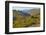 Desert Ocotillo Landscape-John Gavrilis-Framed Photographic Print