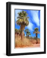 Desert Palm Oasis Phoenix Arizona-Charles Harker-Framed Photographic Print