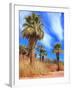 Desert Palm Oasis Phoenix Arizona-Charles Harker-Framed Photographic Print