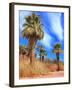 Desert Palm Oasis Phoenix Arizona-Charles Harker-Framed Photographic Print