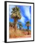 Desert Palm Oasis Phoenix Arizona-Charles Harker-Framed Photographic Print