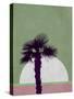 Desert Palm Tree-Jasmine Woods-Stretched Canvas