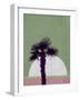 Desert Palm Tree-Jasmine Woods-Framed Art Print