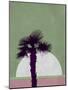 Desert Palm Tree-Jasmine Woods-Mounted Art Print