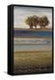 Desert Palms I-Patricia Pinto-Framed Stretched Canvas