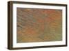 Desert Patterns I-Alicia Ludwig-Framed Art Print