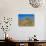 Desert Pincushion and Dandelion, Joshua Tree National Park, California, USA-Rob Tilley-Photographic Print displayed on a wall