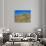 Desert Pincushion and Dandelion, Joshua Tree National Park, California, USA-Rob Tilley-Photographic Print displayed on a wall