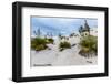 Desert Plants in the Amazing Surreal White Sands of New Mexico-Richard McMillin-Framed Photographic Print