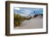 Desert Plants in the Amazing Surreal White Sands of New Mexico-Richard McMillin-Framed Photographic Print