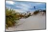 Desert Plants in the Amazing Surreal White Sands of New Mexico-Richard McMillin-Mounted Photographic Print