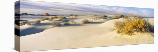 Desert Plants in White Sands National Monument, New Mexico, USA-null-Stretched Canvas