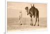 Desert Prayer, Bedouin and Camel-null-Framed Art Print