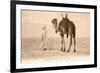 Desert Prayer, Bedouin and Camel-null-Framed Art Print