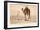 Desert Prayer, Bedouin and Camel-null-Framed Art Print