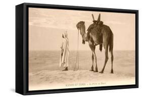 Desert Prayer, Bedouin and Camel-null-Framed Stretched Canvas