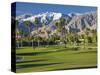 Desert Princess Golf Course and Mountains, Palm Springs, California, USA-Walter Bibikow-Stretched Canvas