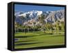 Desert Princess Golf Course and Mountains, Palm Springs, California, USA-Walter Bibikow-Framed Stretched Canvas