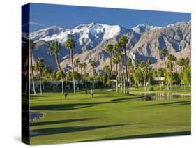 Desert Princess Golf Course and Mountains, Palm Springs, California, USA-Walter Bibikow-Stretched Canvas