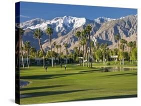 Desert Princess Golf Course and Mountains, Palm Springs, California, USA-Walter Bibikow-Stretched Canvas