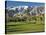 Desert Princess Golf Course and Mountains, Palm Springs, California, USA-Walter Bibikow-Stretched Canvas