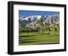 Desert Princess Golf Course and Mountains, Palm Springs, California, USA-Walter Bibikow-Framed Photographic Print