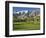 Desert Princess Golf Course and Mountains, Palm Springs, California, USA-Walter Bibikow-Framed Photographic Print