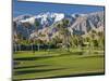 Desert Princess Golf Course and Mountains, Palm Springs, California, USA-Walter Bibikow-Mounted Photographic Print