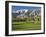 Desert Princess Golf Course and Mountains, Palm Springs, California, USA-Walter Bibikow-Framed Photographic Print