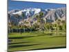 Desert Princess Golf Course and Mountains, Palm Springs, California, USA-Walter Bibikow-Mounted Photographic Print