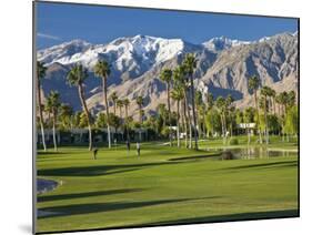 Desert Princess Golf Course and Mountains, Palm Springs, California, USA-Walter Bibikow-Mounted Photographic Print