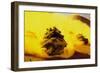 Desert Push-null-Framed Premium Giclee Print