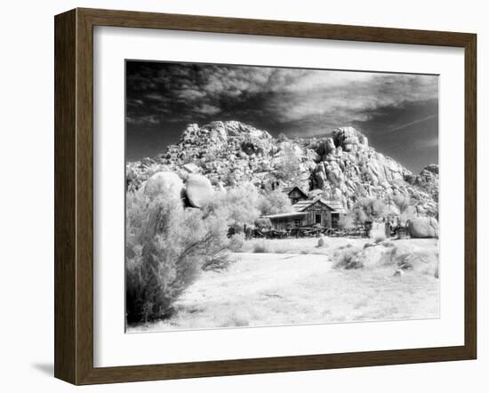 Desert Queen Ranch, Joshua Tree National Park, California, USA-Janell Davidson-Framed Premium Photographic Print