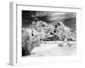 Desert Queen Ranch, Joshua Tree National Park, California, USA-Janell Davidson-Framed Premium Photographic Print