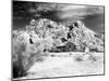 Desert Queen Ranch, Joshua Tree National Park, California, USA-Janell Davidson-Mounted Premium Photographic Print